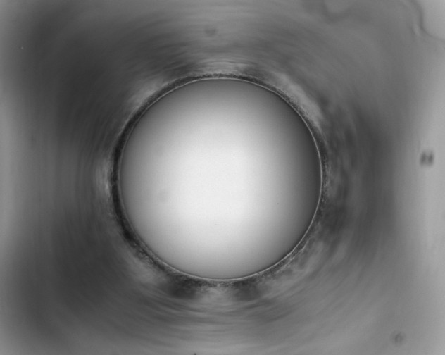X0000103940107200809191426