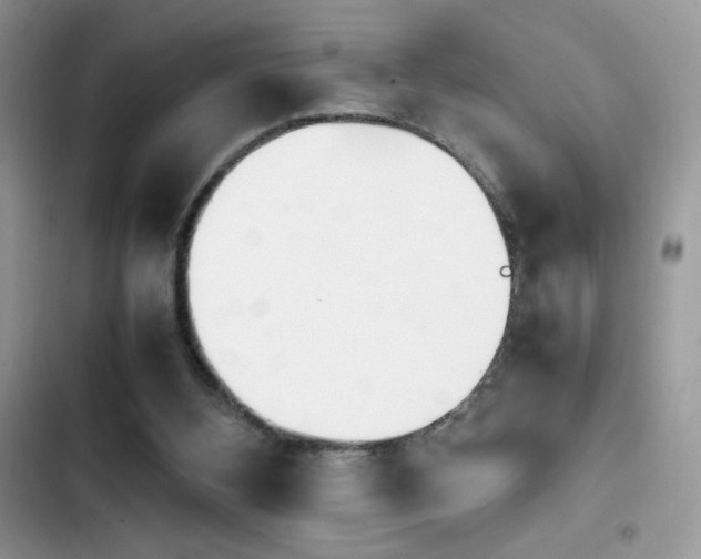 X0000103940108200809191426