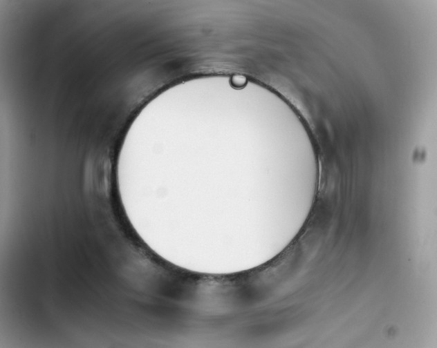 X0000103940109200809191426