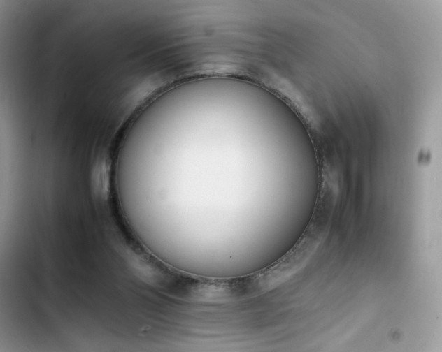 X0000103940110200809191426