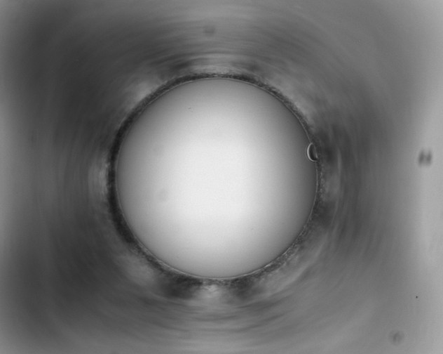 X0000103940111200809191426