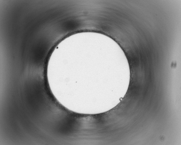 X0000103940112200809191426