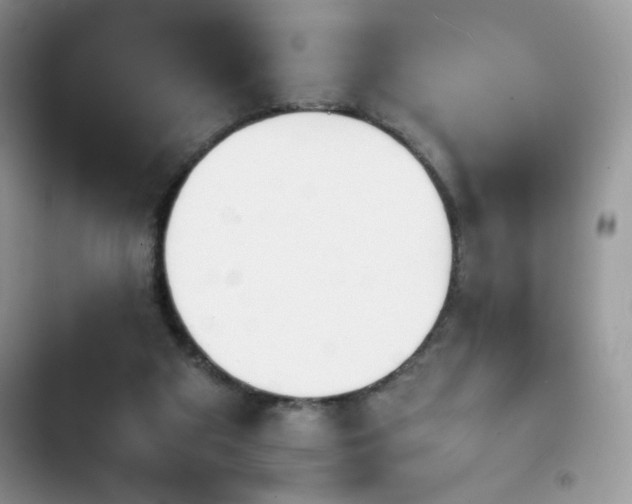 X0000103940113200809191426