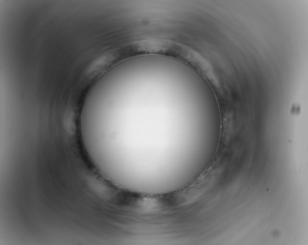 X0000103940114200809191426