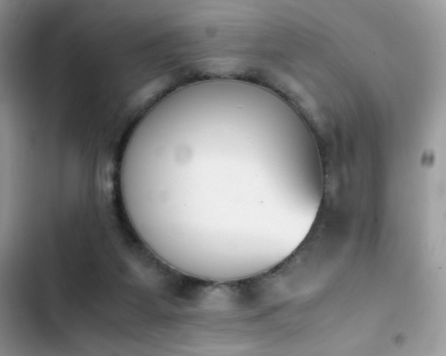 X0000103940115200809191426