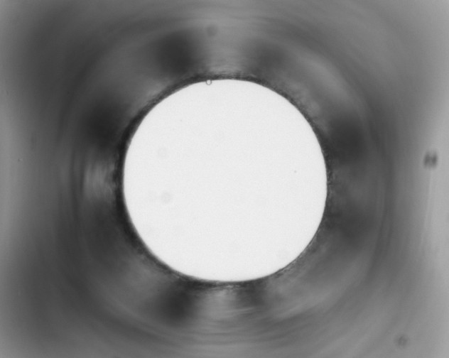 X0000103940116200809191426