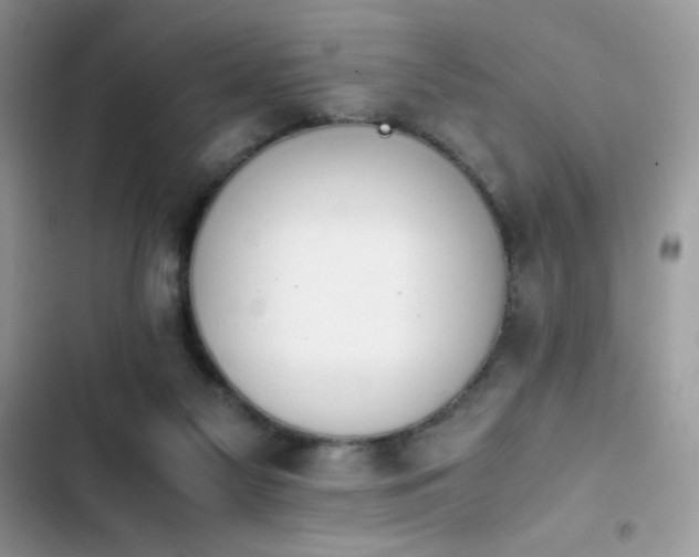 X0000103940117200809191426