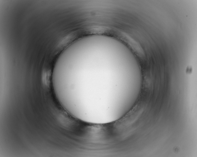 X0000103940118200809191426