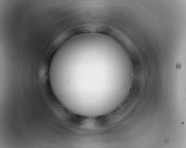 X0000103940119200809191426