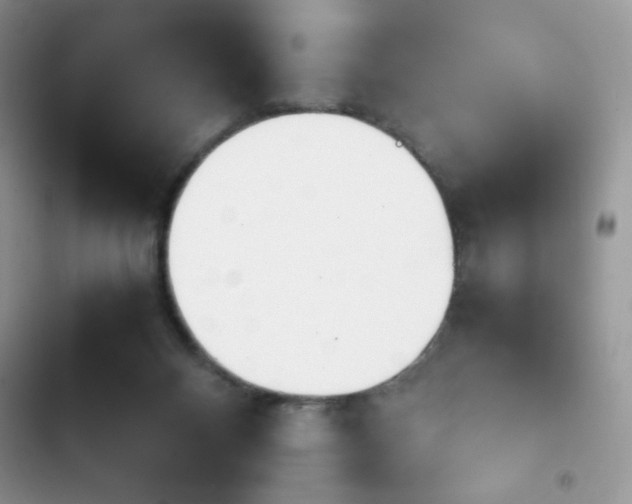X0000103940120200809191426