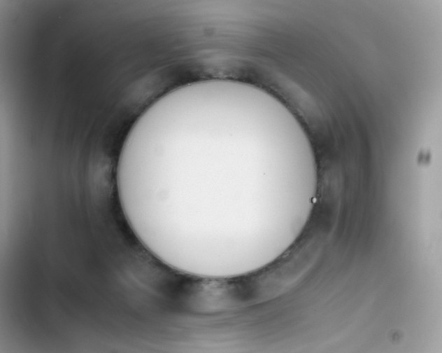 X0000103940121200809191426
