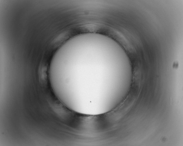 X0000103940122200809191426
