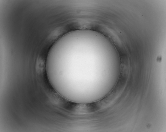 X0000103940123200809191426