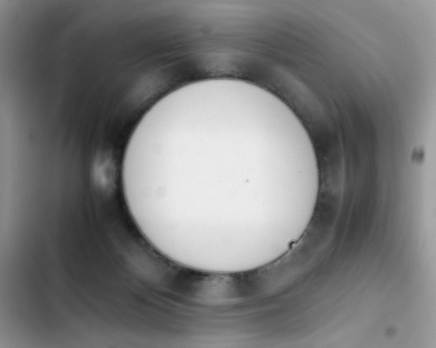 X0000103940124200809191426