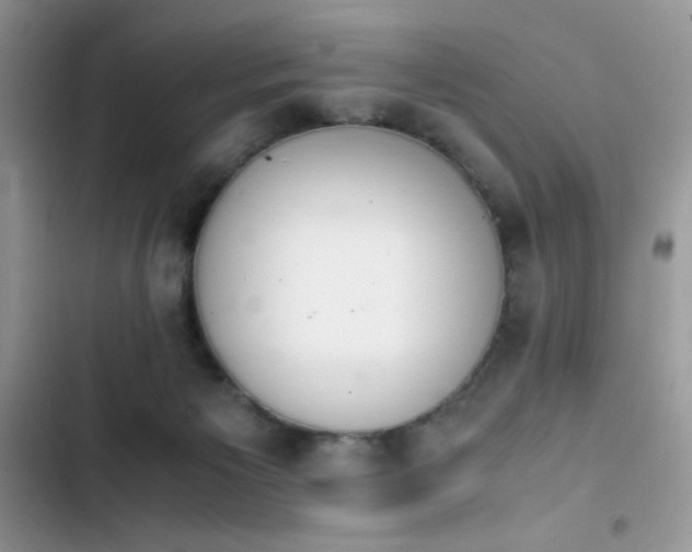 X0000103940125200809191426