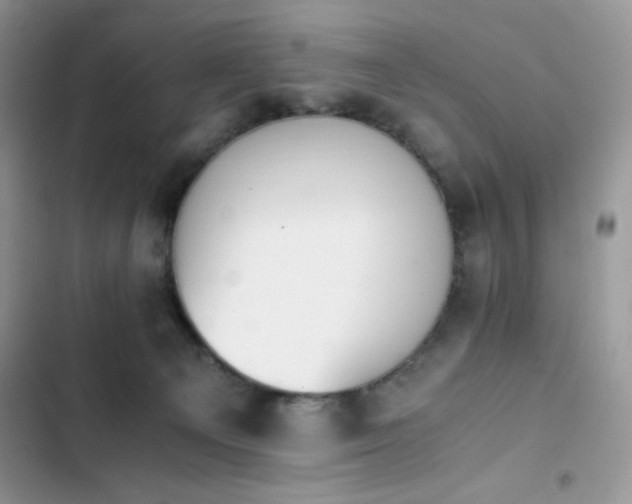 X0000103940129200809191426