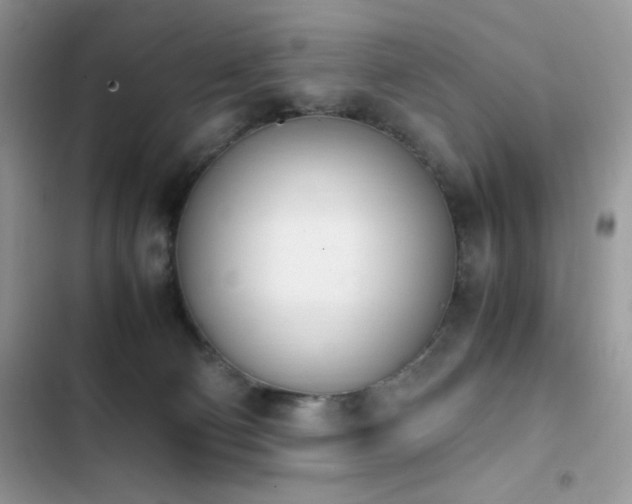 X0000103940130200809191426