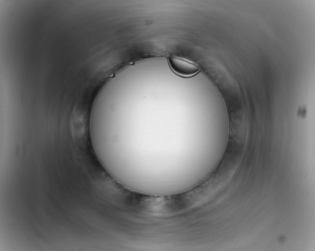 X0000103940131200809191426