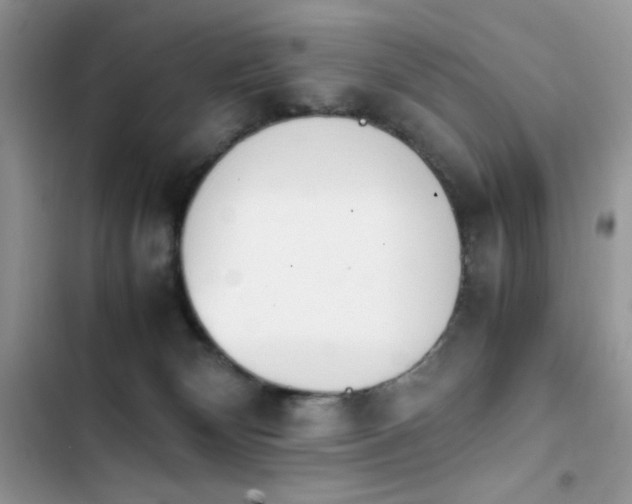 X0000103940132200809191426