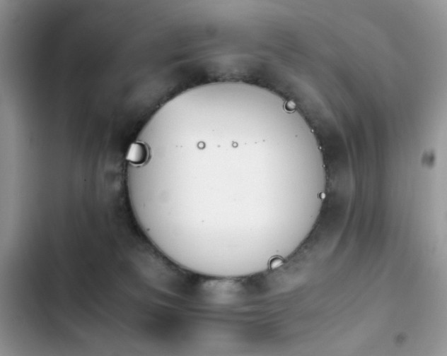 X0000103940133200809191426