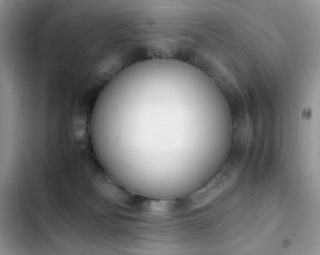 X0000103940134200809191426