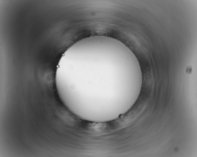 X0000103940135200809191426