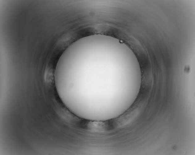 X0000103940137200809191426
