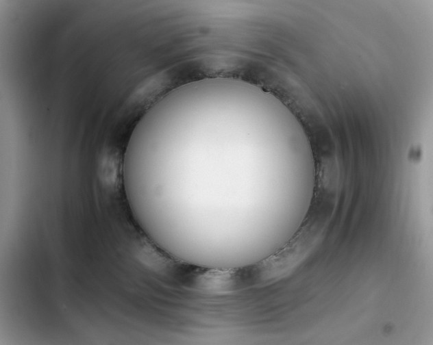 X0000103940138200809191426