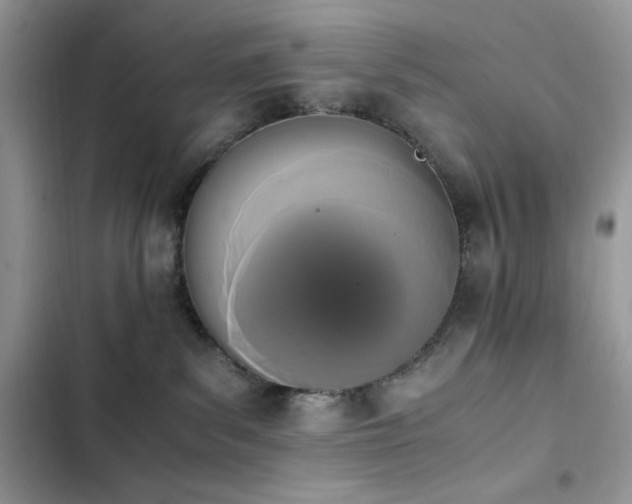 X0000103940139200809191426