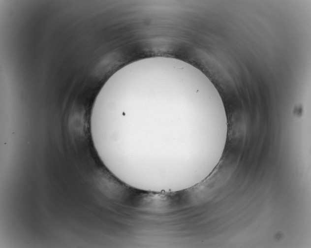 X0000103940140200809191426