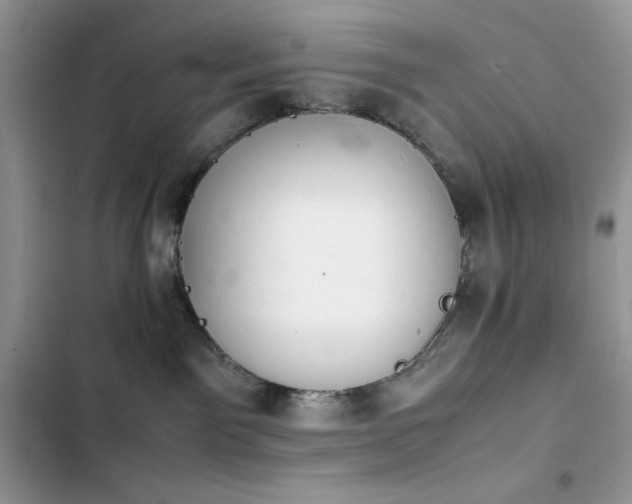 X0000103940141200809191426