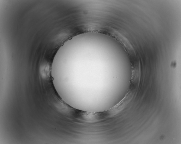 X0000103940142200809191426