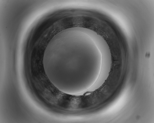X0000103940143200809191426