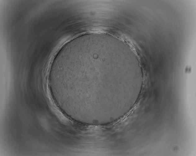 X0000103940145200809191425
