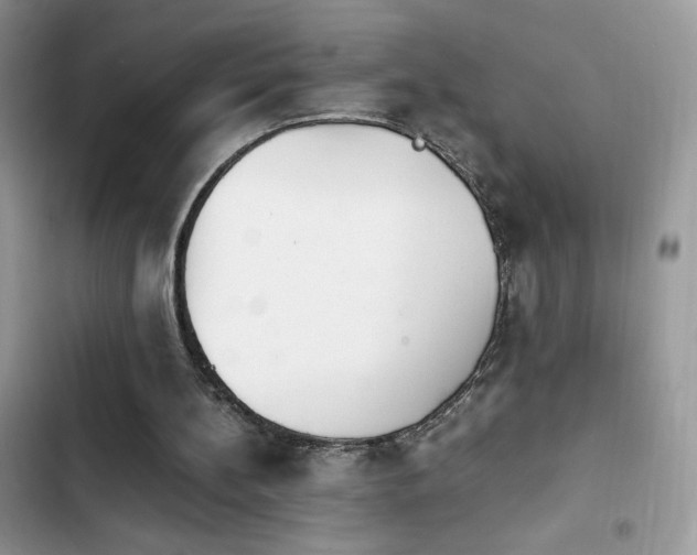 X0000103940148200809191425