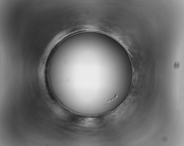 X0000103940151200809191425