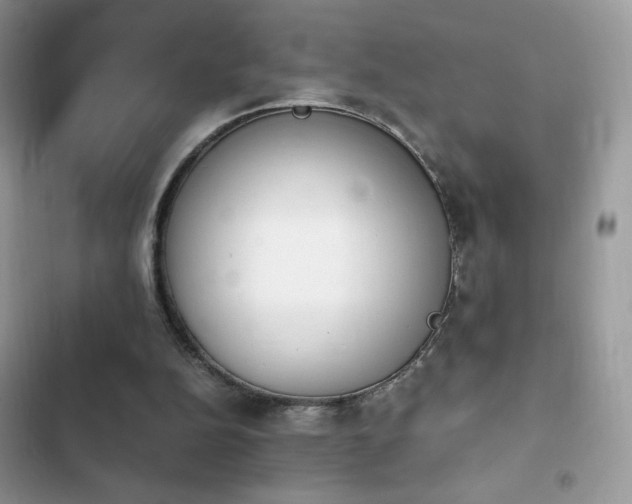 X0000103940152200809191425