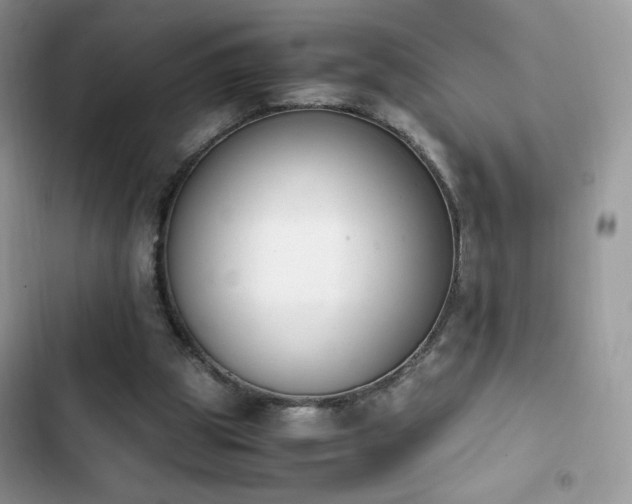 X0000103940153200809191425