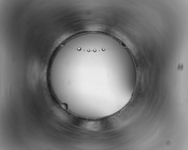 X0000103940155200809191425