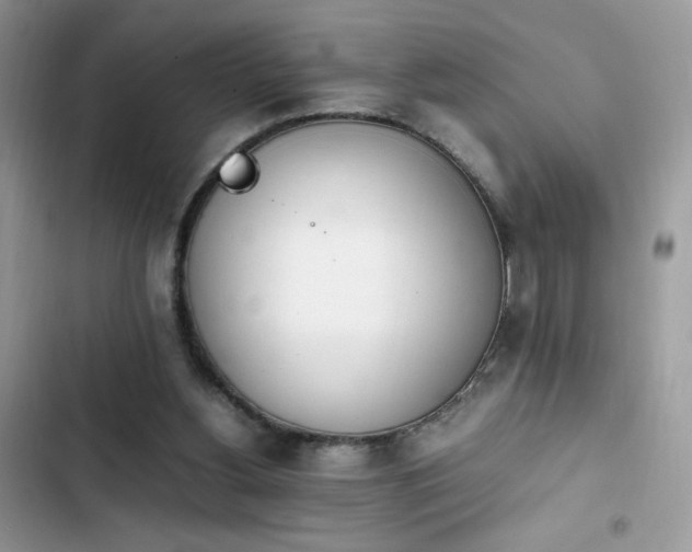 X0000103940156200809191425