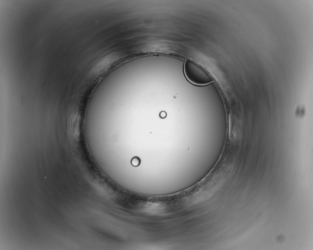 X0000103940157200809191425