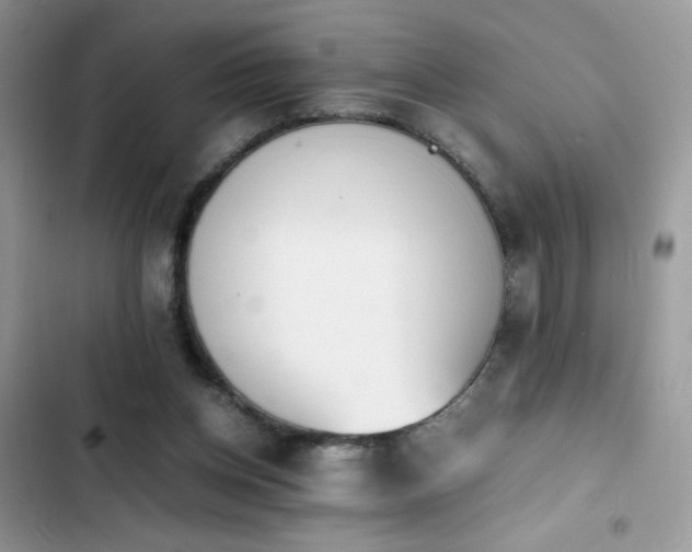 X0000103940158200809191425
