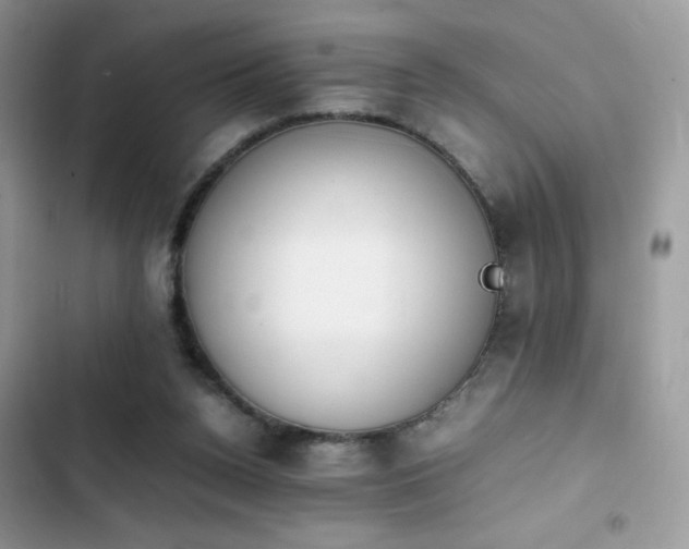 X0000103940160200809191425
