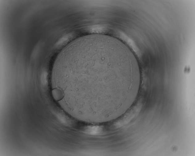 X0000103940161200809191425