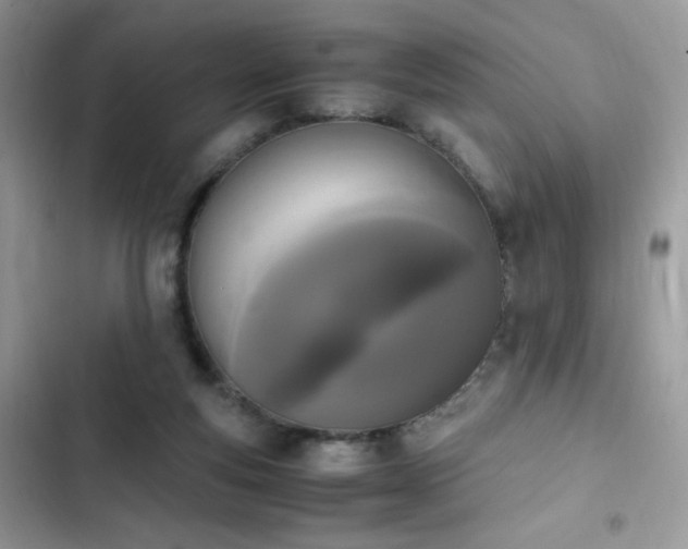 X0000103940163200809191425