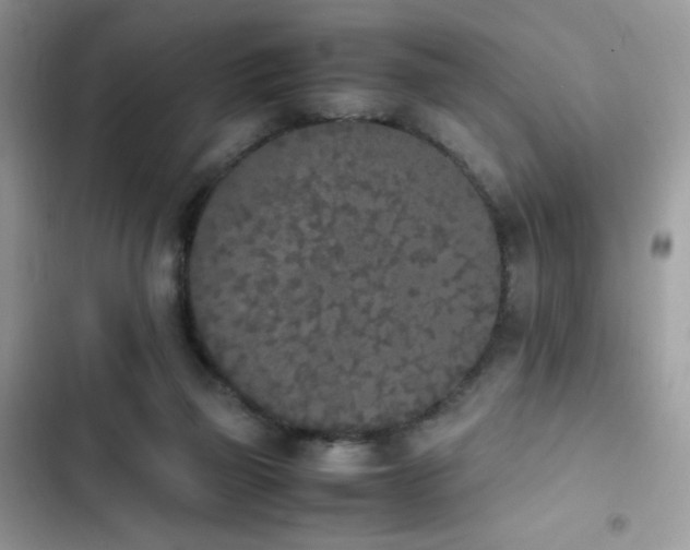 X0000103940165200809191425