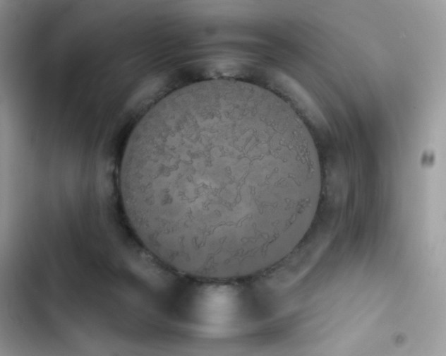X0000103940169200809191425