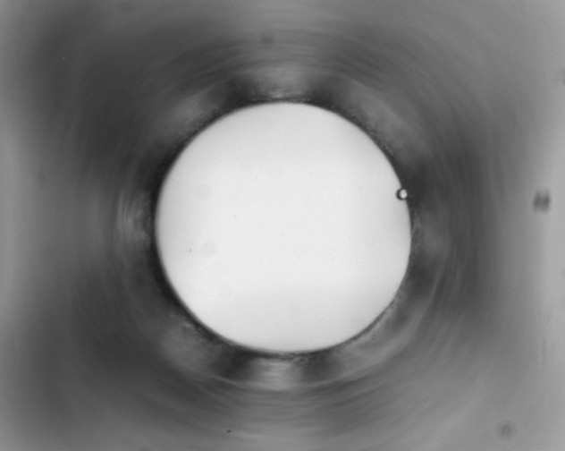 X0000103940170200809191425