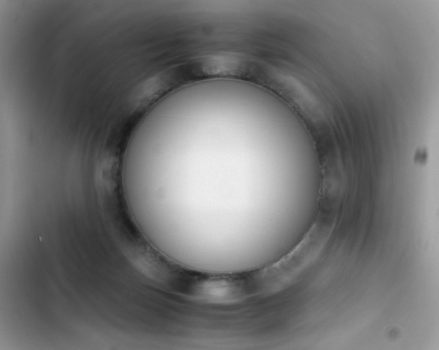X0000103940171200809191425