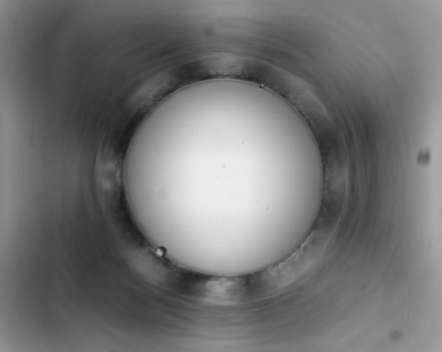 X0000103940172200809191425